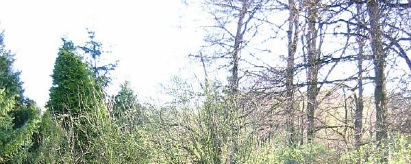 31c1094477e90428f9ff82eebc1f09b9a1fd763e.jpg