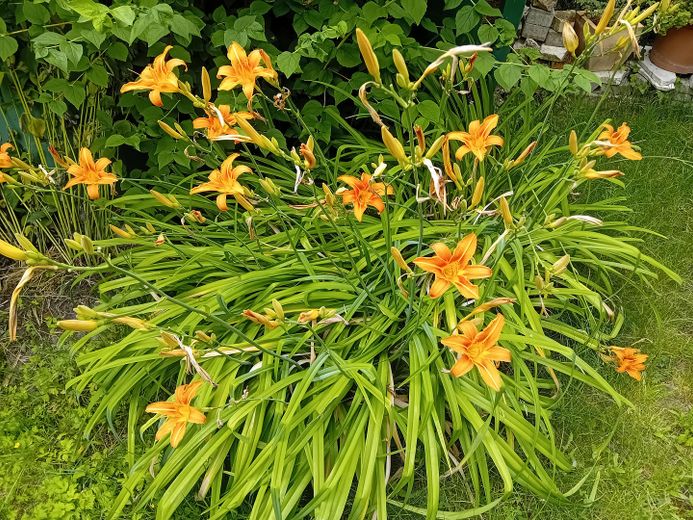 منزل مزدوج مُعتنى به يتمتع بسحر خاص - هادئ | مركزي | حديقة – Garten