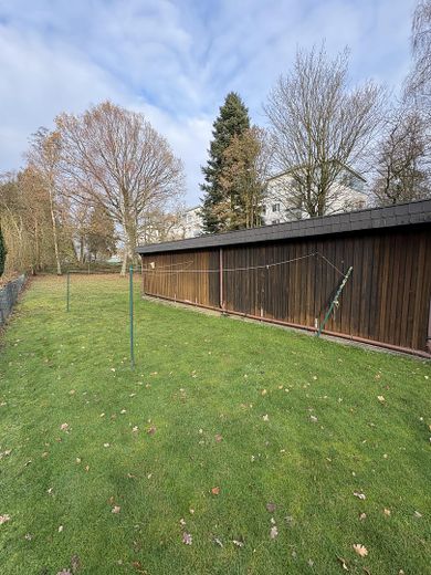 hintere Bereich Garten