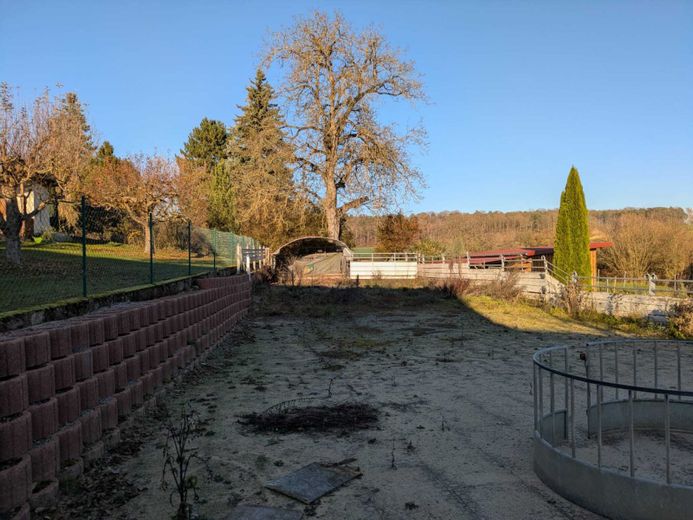 Gemünden nad Menem, gospodarstwo z wydzielonym mieszkaniem – Foto 5