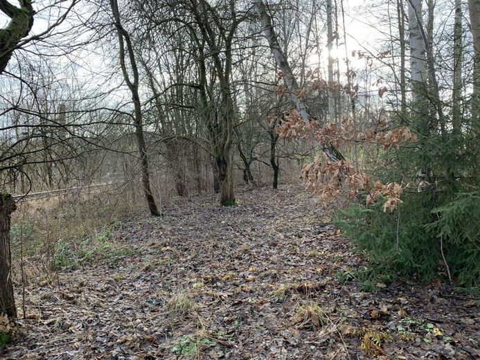 gewerbliches Grundstückspaket - 38222m² - am Bhf./Bahngleisen – 240105_Lengenfeld_GS_1263_24_25_26_051