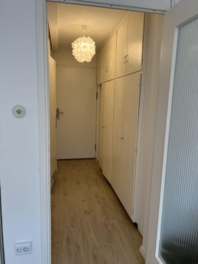 Bezugsfreies renoviertes 1-Zimmer-Appartement mit Balkon – Foto 6