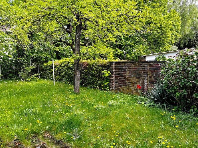 Erstbezug nach Sanierung: Helle 3-Zimmer-Wohnung mit Einbauküche &amp; Top-Dämmung - ideal für 1-2 Personen – Gemeinschaftsgarten