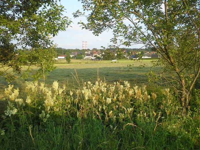 Blick auf Stein-Neukirch
