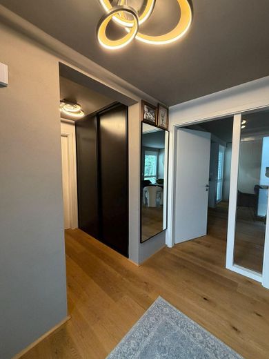 Exklusives Einfamilienhaus mit Keller und sehr großem Grundstück – offener Eingangsbereich