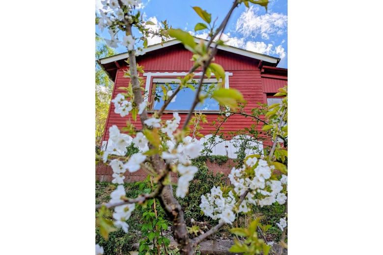 Auszeit im grünen - Wochenendhaus zum wohlfühlen – Außenansicht