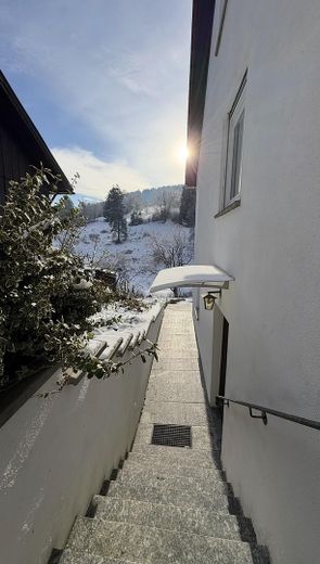 Treppenaufgang & Eingang EG