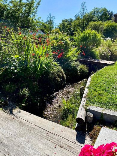 Esclusivo appartamento di 2,5 locali in posizione privilegiata a Feldafing sul lago di Starnberg – Garten