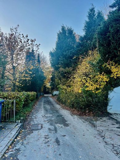 Traumsicht auf See und Alpenkette – Bild 14