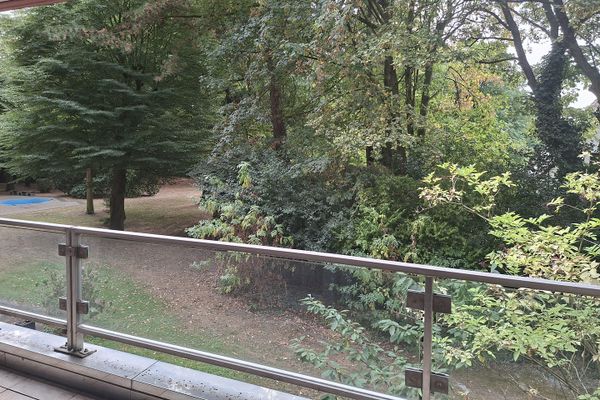 Benessere a Haarzopf: appartamento ristrutturato di 2,5 locali con parquet, balcone e vista sul parco