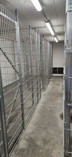 Lagerfläche in TG (optional)