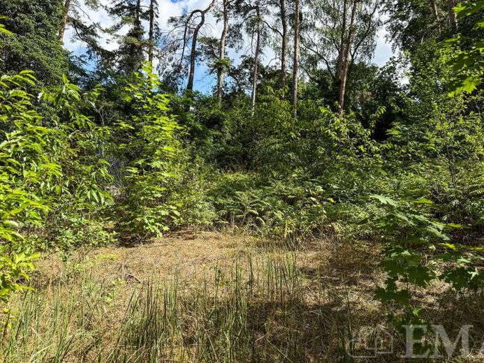 Traumhafte Insellage inmitten der Siedlung – ideal für ein Wohnhaus mit großen Glasflächen – Foto 1