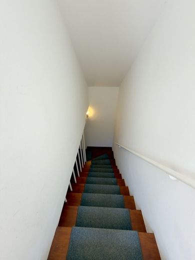 Absolute Rarität: Bungalow in Schildgen mit 6.612 m² Grundstück in direkter Waldrandlage – Treppenabgang