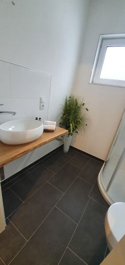 Luxuriöse Neubau-Immobilie in Naturnähe: Modern, lichtdurchflutet und vielseitig – EG,Gäste Wc 