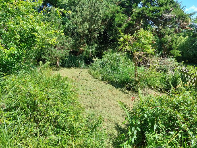 Beflanzung an Viehweideweg