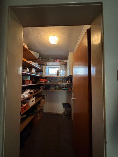 Hofreite Wallerstädten – Foto 39