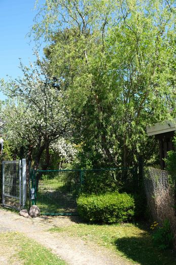 Grundstück mit Steinbungalow – Tor
