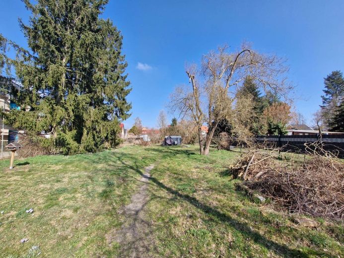 Wohlfühllage: Malerisches Baugrundstück – Blick auf den hinteren Grundstücksteil