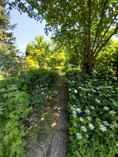 Ein Rundgang durch den Garten