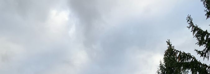 241113_GS_1012_Lgbd_Bilder_002