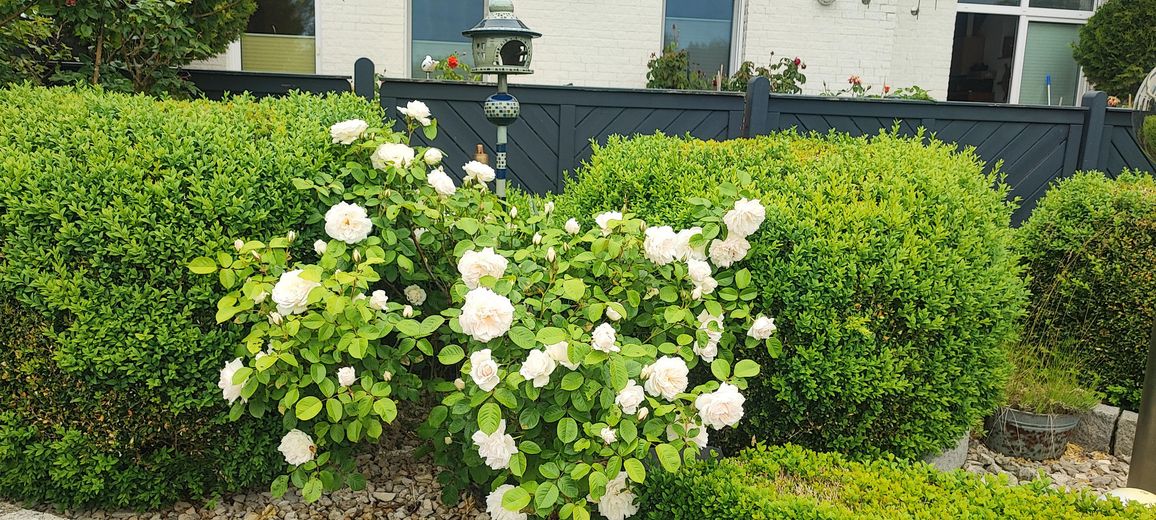 Strand Villa ,1 Reihe  Kieler Förde,über 450qm – Foto 25