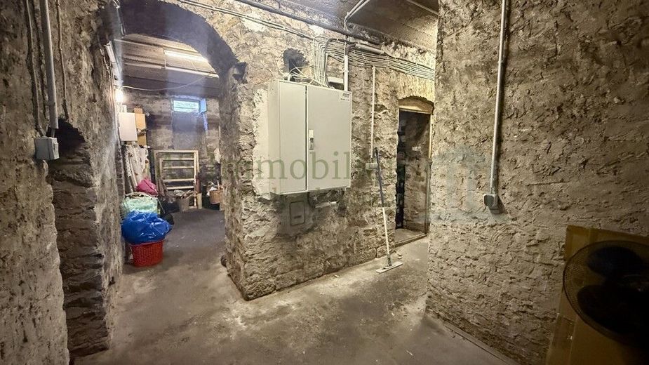 *** Historischer Altbau mit Stil: Voll vermietetes Dreifamilienhaus in Worms *** – KG Flur Ansicht 1