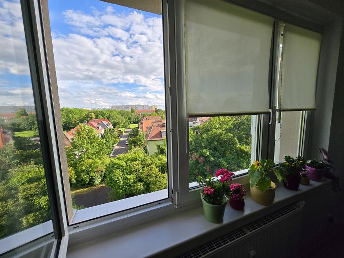 Blick aus dem Wohnzimmer