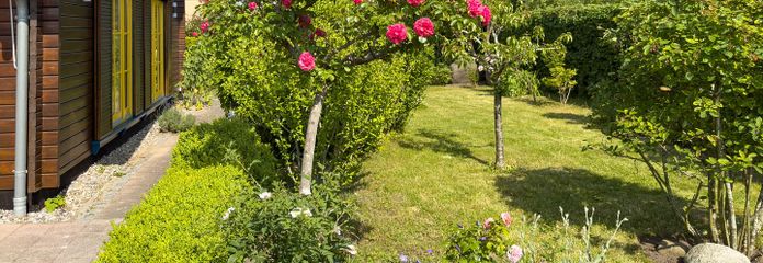 Blick in den Garten