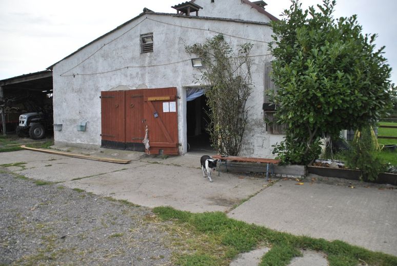 Marlow-OT, Reitanlage + Blockhütten in Ostseenähe – Foto 7