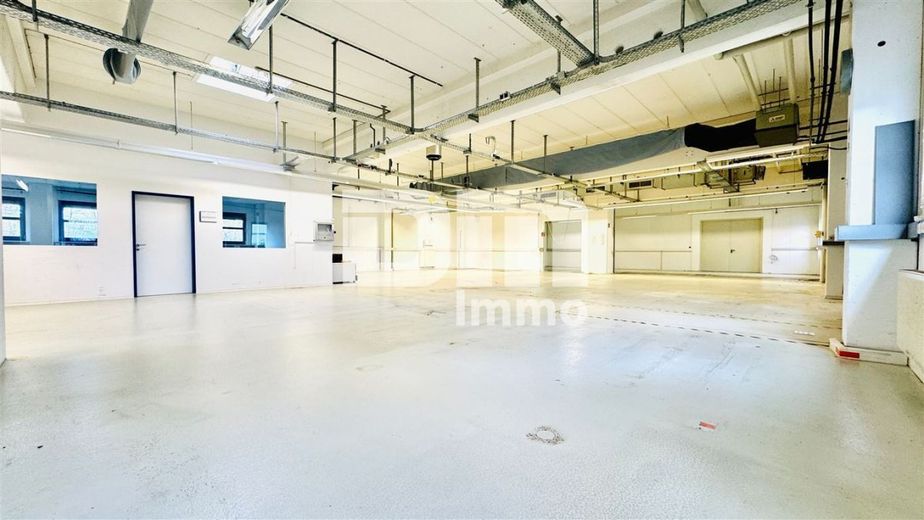 Vielseitiger Gewerbekomplex Halle + Büro / Freifläche - Top Infrastruktur direkt am A44 / A49 Kreuz – EG Haupthalle
