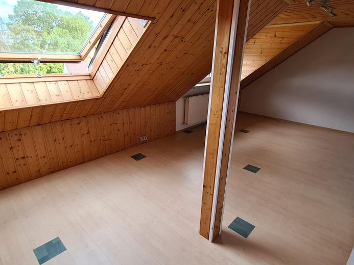 Attractive semi-detached house with two residential units and a large garden – DG Kinderzimmer