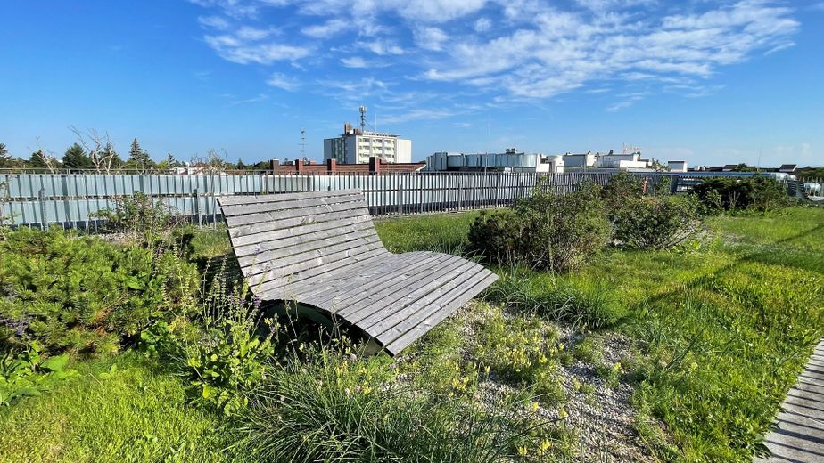 Sehr gepflegtes und hochwertig möbliertes Penthouse – provisionsfrei -  Dachgarten, Tiefgarage – Dachgarten