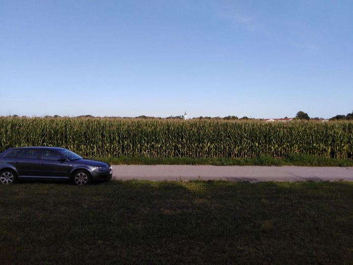 potentielle Sicht ohne Hecke