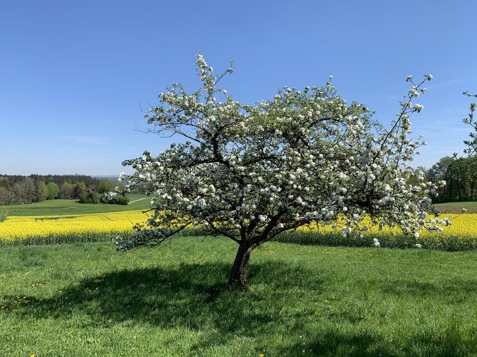 Naturparadies