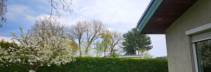 Frühling ist da!