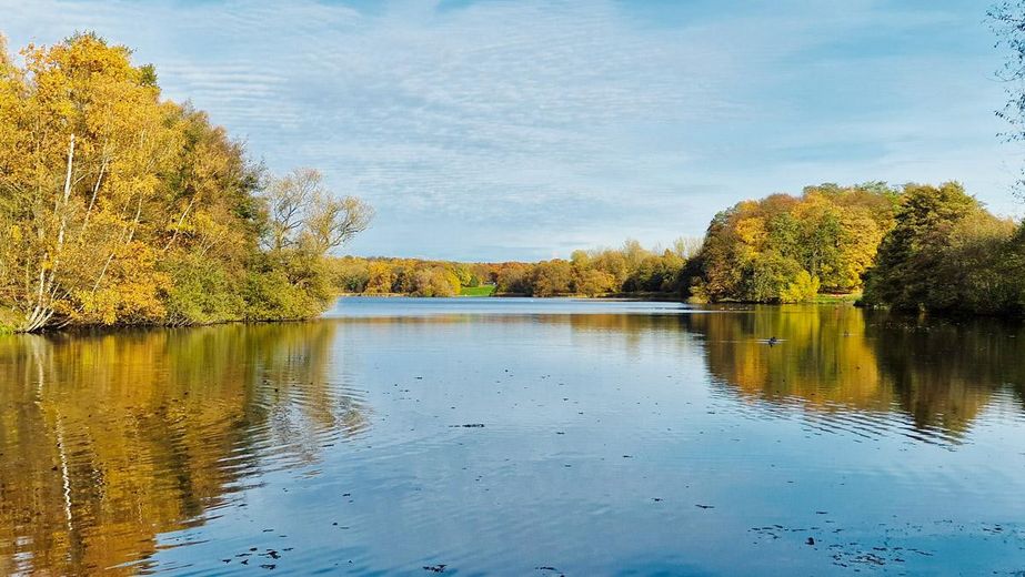 - Senza commissioni - Casa bifamiliare a basso consumo energetico con dotazioni di alta qualità presso il lago Öjendorfer – Öjendorfer See