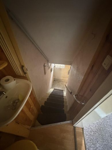 Reihenendhaus, unterkellert mit Nebengelass und Garten – Kellerabgang
