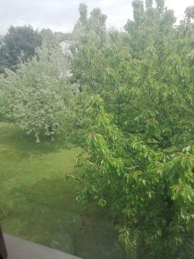 Blick vom Wohnzimmer