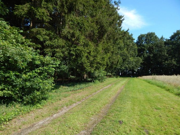 Auffahrt Richtung Straße