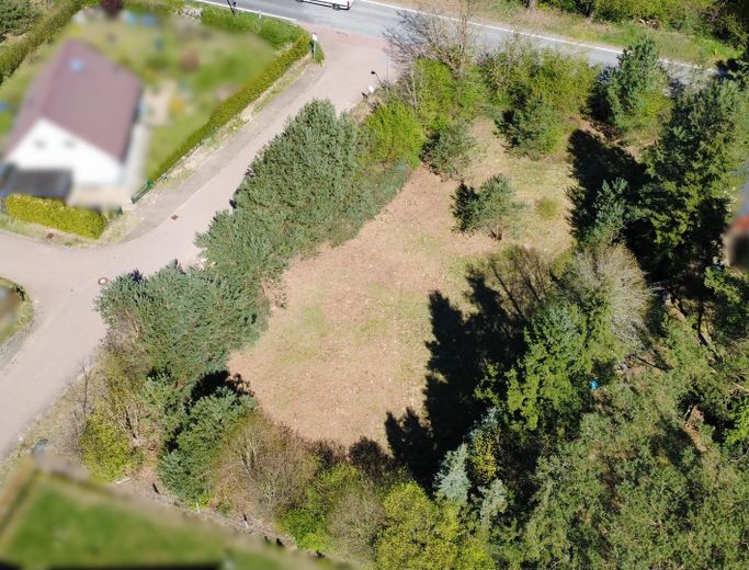 1.254 m² Baugrundstück nahe Stechlinsee – teilbar , ruhige Lage (provisionsfrei) – Foto 8