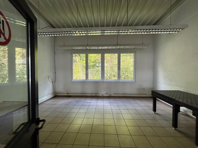 120 qm Halle, 720 qm Halle, 200 qm Halle im Bliesgau, z.T. mit Büro & Videoüberwachung – Halle 4, Büro
