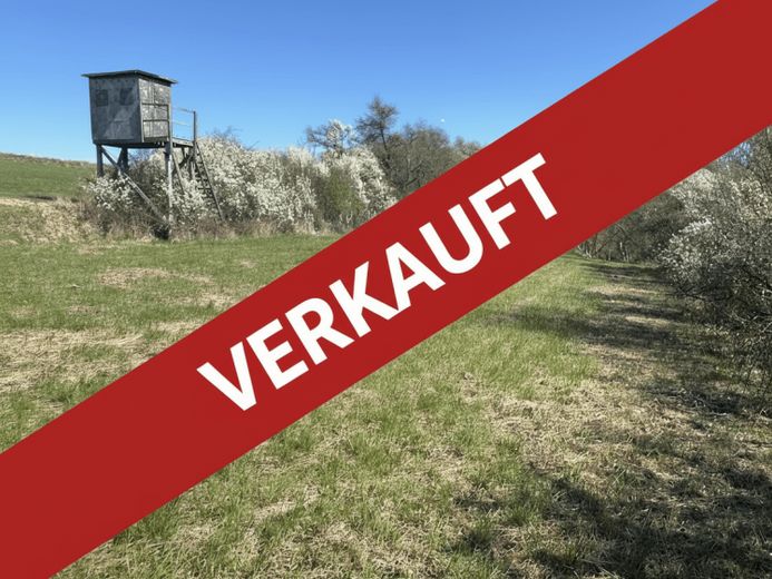 Land- und Forstwirtschaftliches Grundstück (Grünland / Wiese) in Eltmannshausen zum fairen Preis! – Foto 1