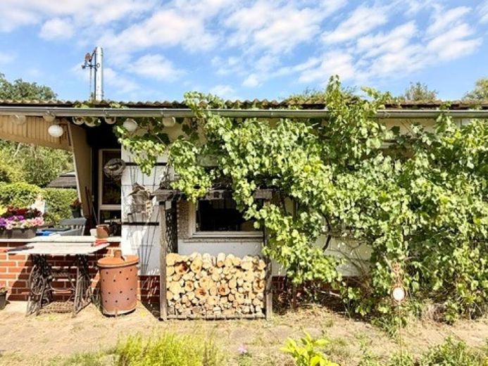 * * Erholung am Waldrand * * Wochenendhaus auf großem Grundstück im Grünen – Foto 1