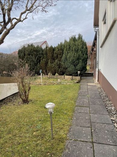 Blick in den Garten