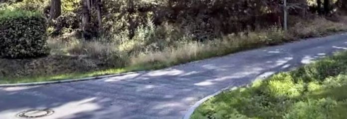Terrain constructible attractif dans un emplacement recherché d'Elstal – Parfait pour la maison de vos rêves près de Berlin