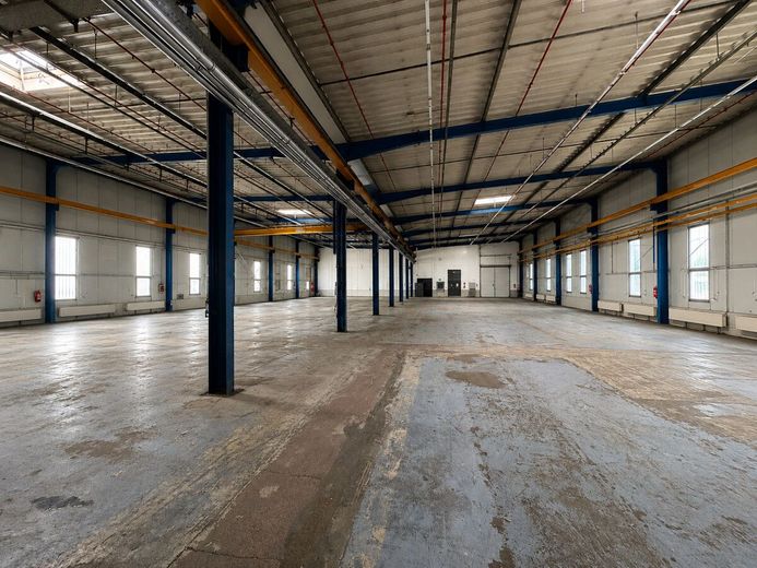 Sofort verfügbare Gewerbehalle mit vielseitigen Nutzungsmöglichkeiten – Halle