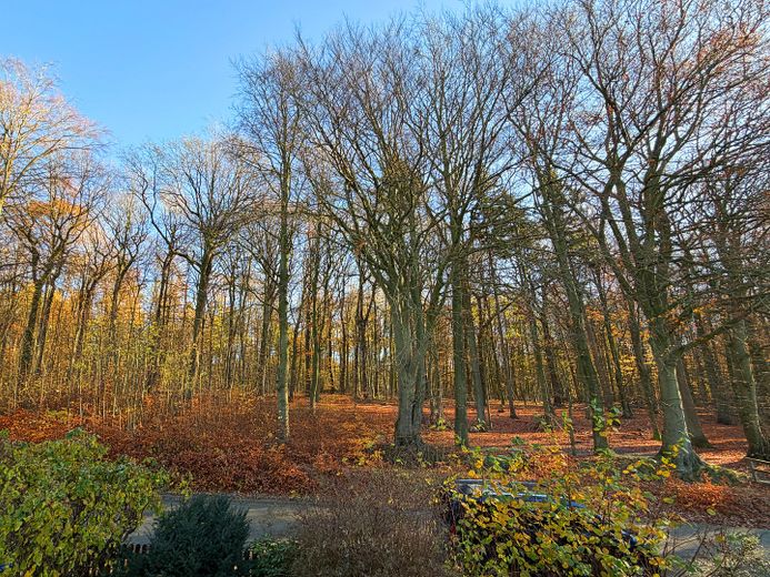 Waldblick Kinderzimmer!