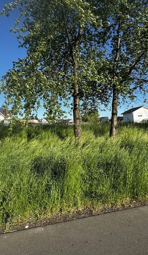 Westansicht