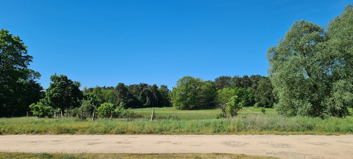 Blick über den Finkenweg