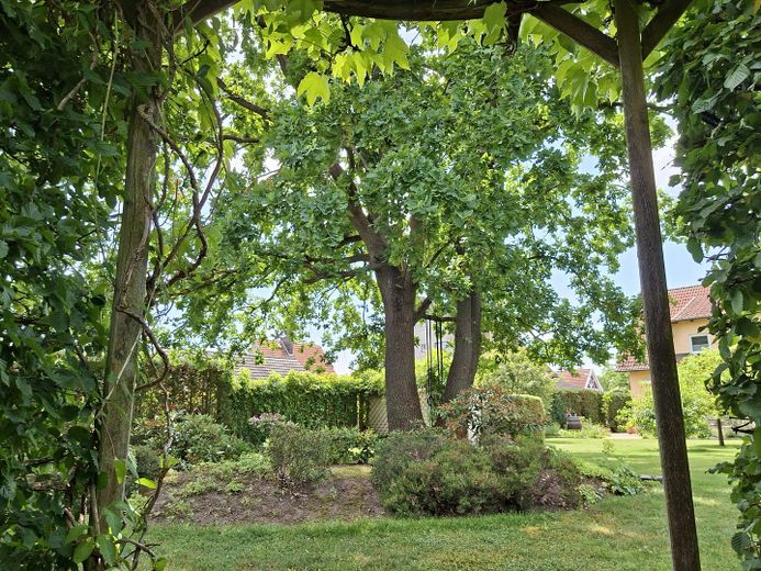 Merkezi ve sakin konumda geniş müstakil ev – Blick vom Sitzplatz im Garten